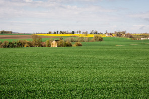 Parc naturel du Perche