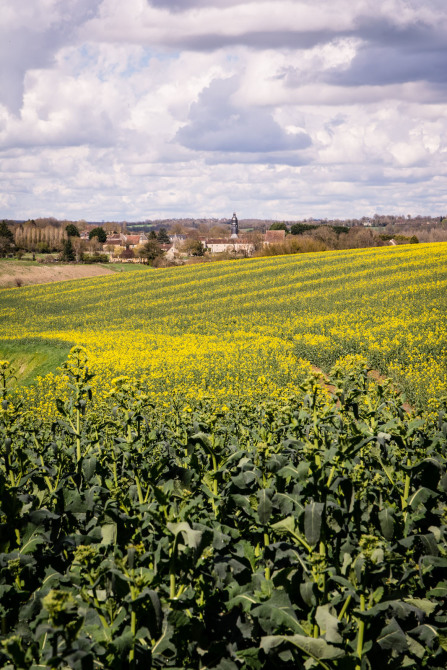 Saint-Cyr-la-Rosière