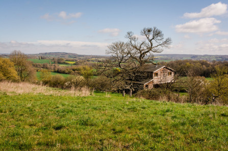 Perché dans le Perche