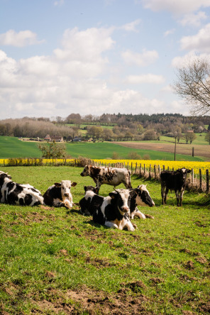 Parc naturel du Perche