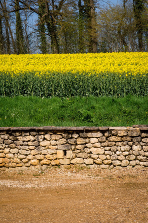 Parc naturel du Perche