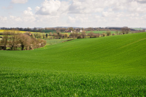 Parc naturel du Perche