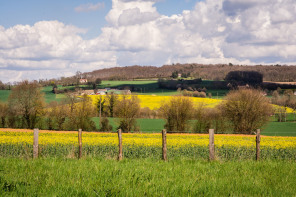 Jardin François