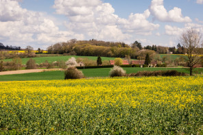 Jardin François