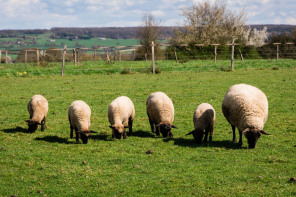 Parc naturel du Perche