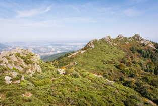 Parc naturel du Pilat