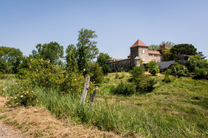 Condrieu – Sentier de l’Arbuel – Château de Rozay