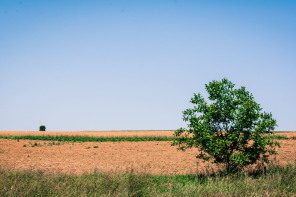 Condrieu – Sentier de l’Arbuel