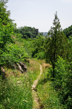 Condrieu – Sentier de l’Arbuel