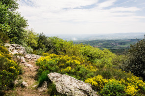 Randonnée du col de Pavezin au mont Monnet – Mont Monnet