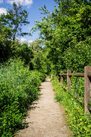 Condrieu – Ile du Beurre