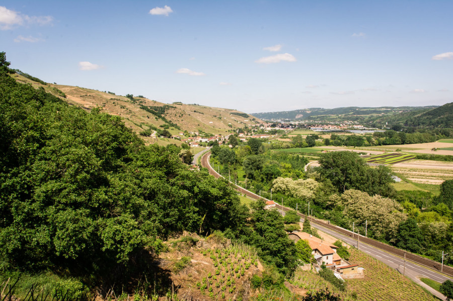 Condrieu – Sentier des Lônes en terrasses