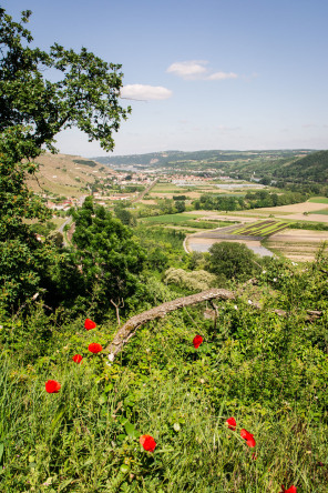 Condrieu – Sentier des Lônes en terrasses