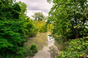 Condrieu – Ile du Beurre