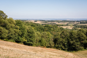 Ampuis – Sentier dans les vignes n° 2