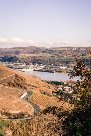 Sur les hauteurs d'Ampuis