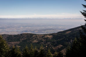 Près du crêt de l'Œillon