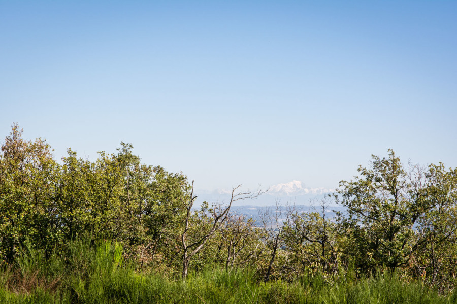 Le mont Blanc vu des hauteurs du Pilat, probablement entre Ampuis et Loire-sur-Rhône