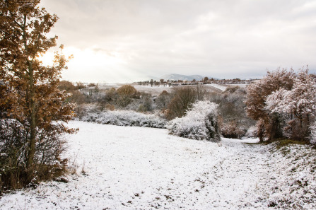 Sur les hauteurs d'Ampuis en hiver