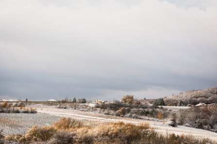 Sur les hauteurs d'Ampuis en hiver