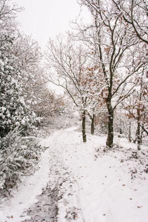 Montée vers le mont Monnet en hiver