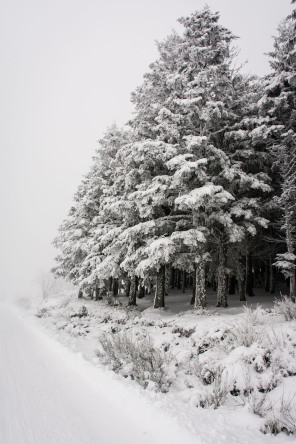 Col de l'Œillon en hiver