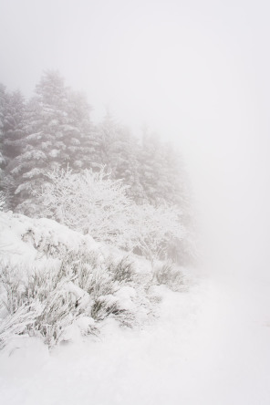 Col de l'Œillon en hiver