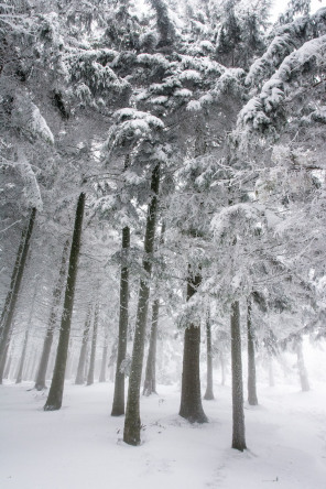 Col de l'Œillon en hiver