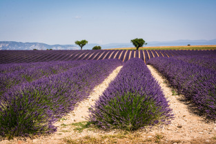 Parc naturel du Verdon