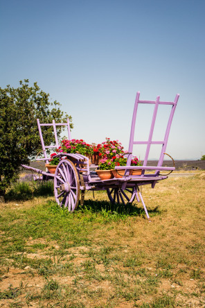 Plateau de Valensole – Distillerie Jaubert