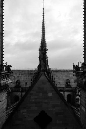 Vue depuis la cathédrale Notre-Dame