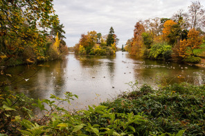 Bois de Boulogne – Lac inférieur