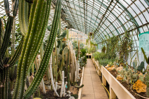 Jardin des serres d'Auteuil