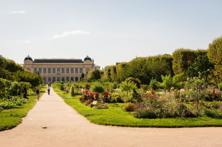 Jardin des Plantes