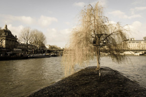 Square du Vert-Galant