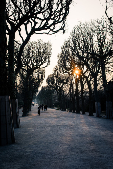 Jardin des Plantes