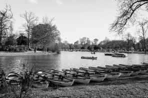 Bois de Vincennes – Lac Daumesnil