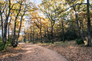 Randonnée du tour du plateau de Cengle