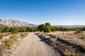 Randonnée du tour du plateau de Cengle – Sainte-Victoire