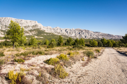 Randonnée du tour du plateau de Cengle – Sainte-Victoire