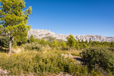 Randonnée du tour du plateau de Cengle – Sainte-Victoire