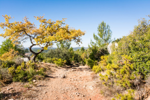 Randonnée du tour du plateau de Cengle – Sous la barre du Cengle