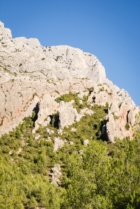 Randonnée du tour du plateau de Cengle – Sainte-Victoire