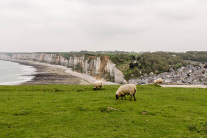 Vue d'Yport depuis les falaises à l'ouest