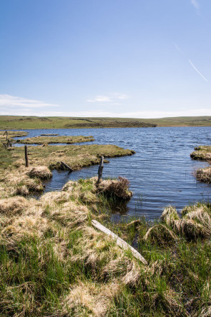 Randonnée des lacs – Lac de Born