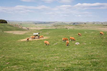 Randonnée des lacs