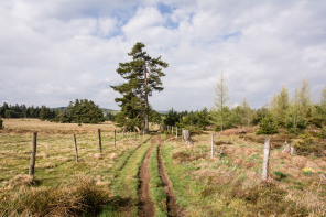 Randonnée de Saint-Jacques-de-Compostelle entre les 4 chemins et Nasbinals