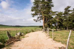 Randonnée de Saint-Jacques-de-Compostelle entre les 4 chemins et Nasbinals