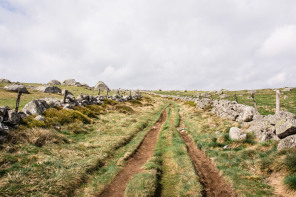 Randonnée de Saint-Jacques-de-Compostelle entre les 4 chemins et Nasbinals – Roc des Loups