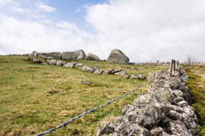 Randonnée de Saint-Jacques-de-Compostelle entre les 4 chemins et Nasbinals – Roc des Loups